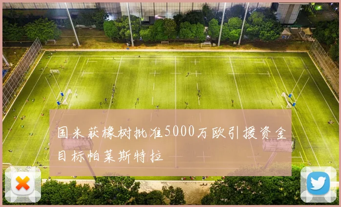 国米获橡树批准5000万欧引援资金目标帕莱斯特拉