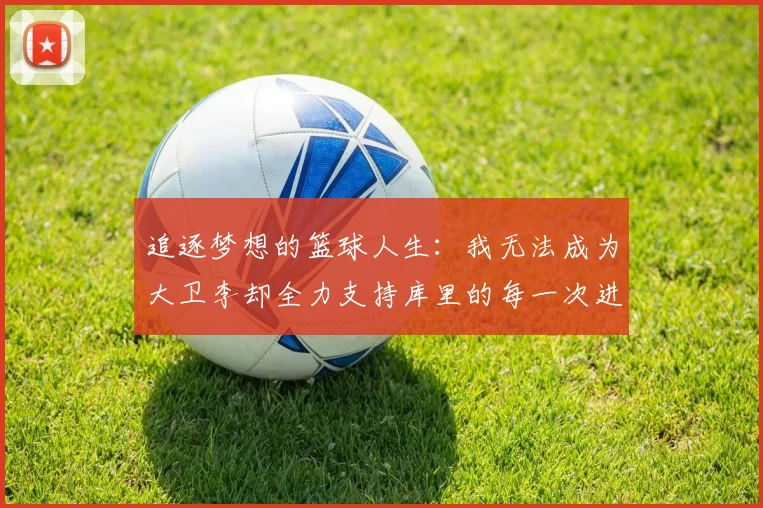 追逐梦想的篮球人生：我无法成为大卫李却全力支持库里的每一次进攻