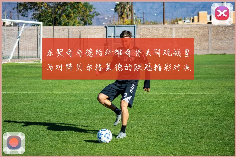 东契奇与德约科维奇将共同观战皇马对阵贝尔格莱德的欧冠精彩对决