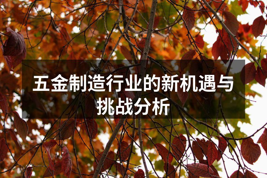 五金制造行业的新机遇与挑战分析